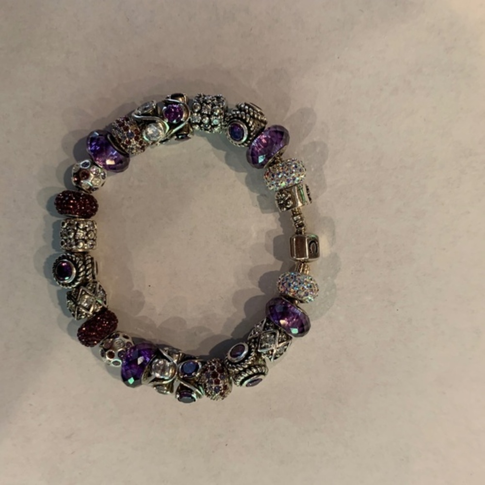 Chamilia 8.5 inch Silver Charm Bracelet with24 charms